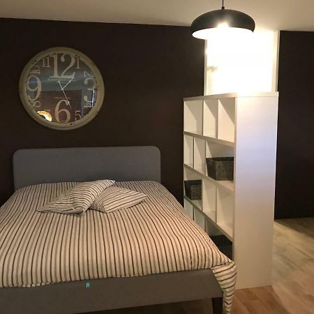 Large Studio Near Epfl And Lausanne City Center Ecublens  Exteriér fotografie
