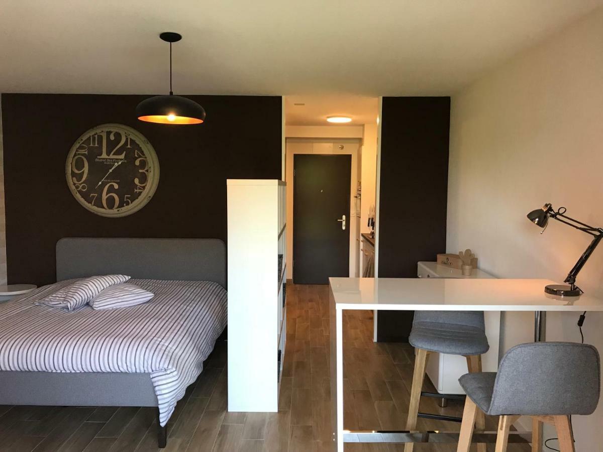 Large Studio Near Epfl And Lausanne City Center Ecublens  Exteriér fotografie