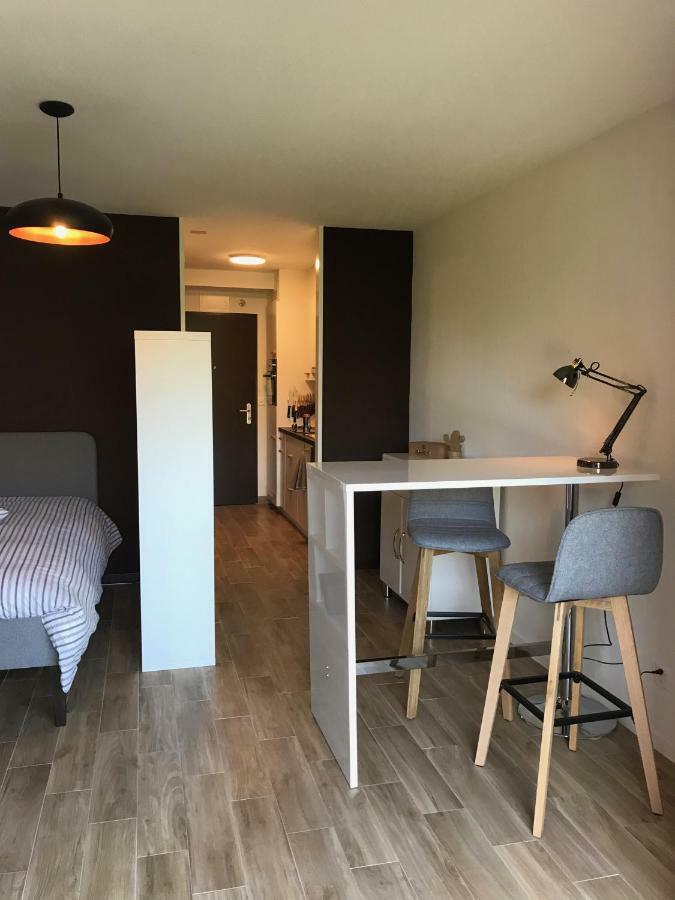 Large Studio Near Epfl And Lausanne City Center Ecublens  Exteriér fotografie