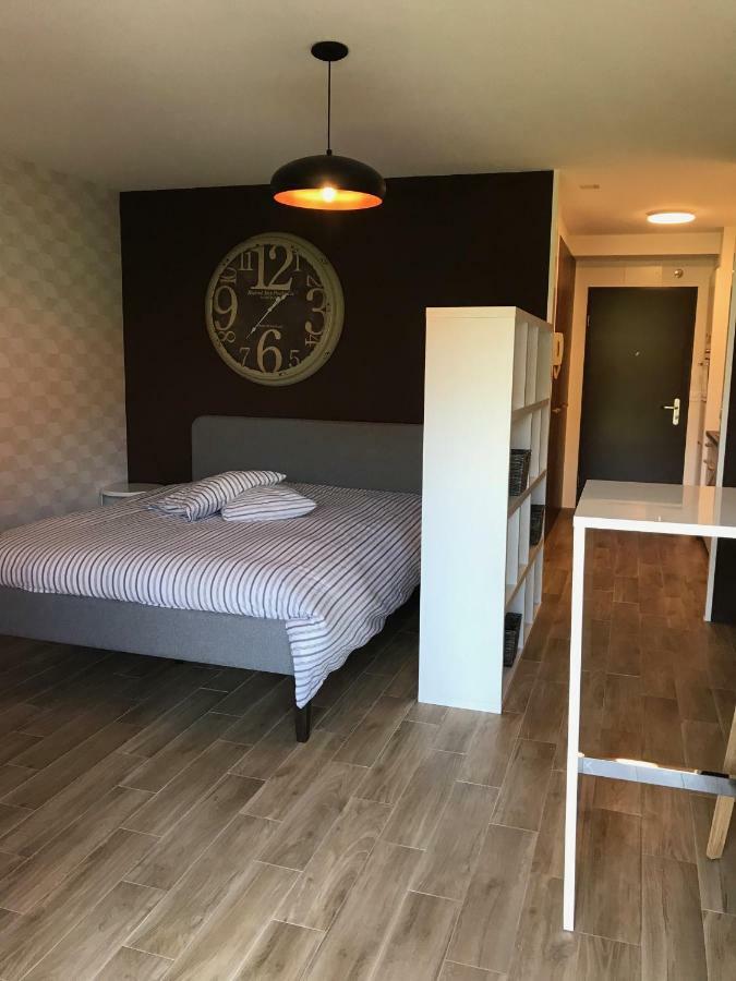 Large Studio Near Epfl And Lausanne City Center Ecublens  Exteriér fotografie