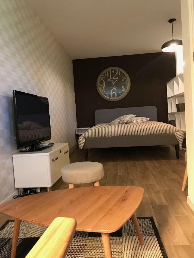 Large Studio Near Epfl And Lausanne City Center Ecublens  Exteriér fotografie